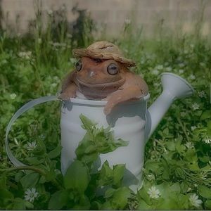 Meet your Posher, Jay